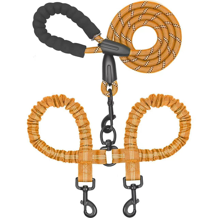 Dog leash with two connectors on a white background