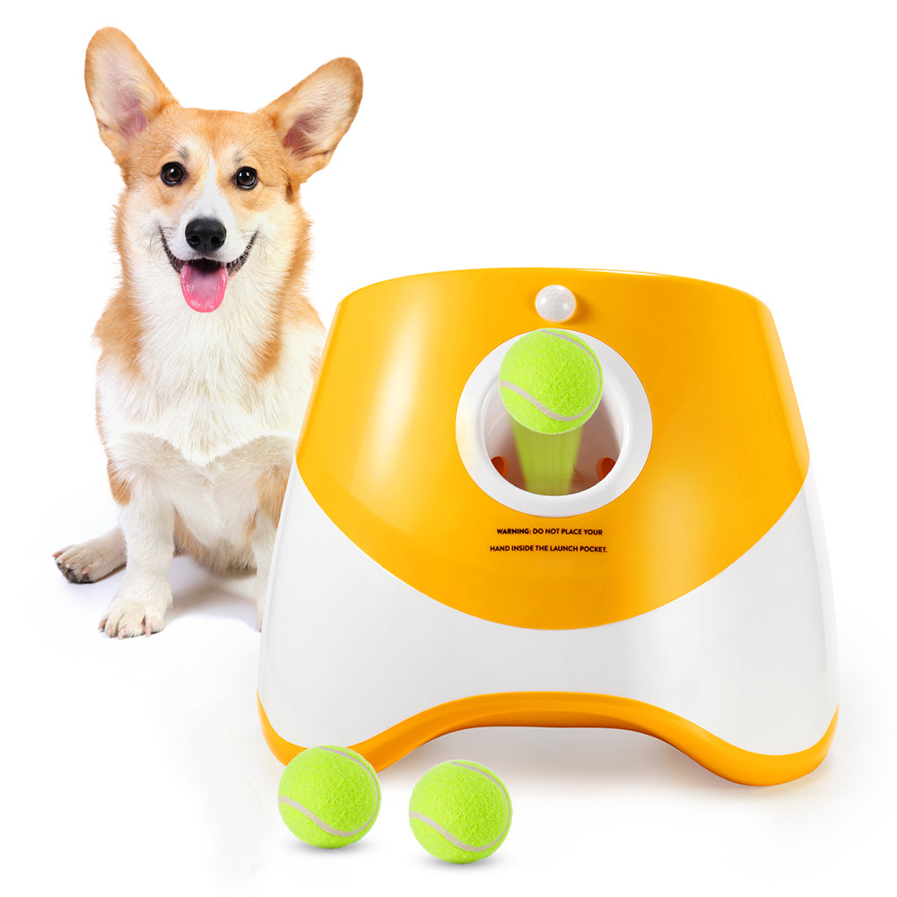 Dog with a toy dispenser containing a tennis ball on a white background