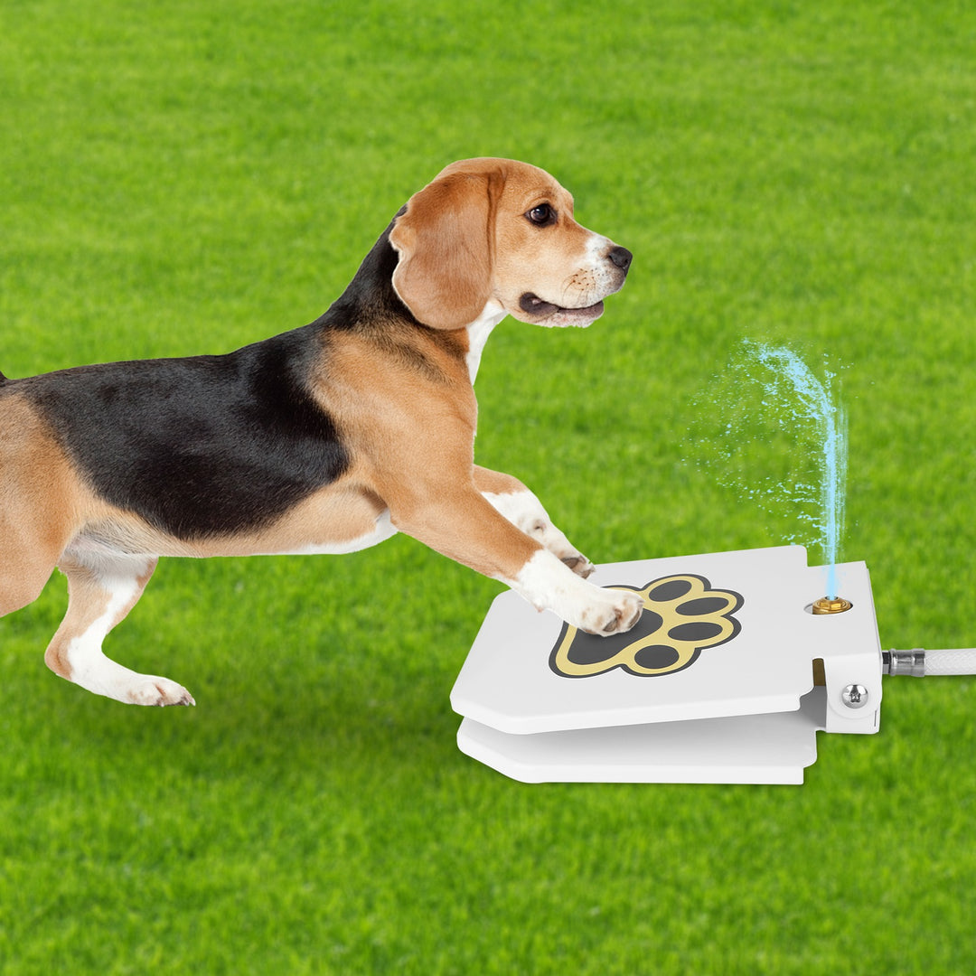 Dog playing with a Step-On Pet Water Sprinkler that sprays water on a grassy field