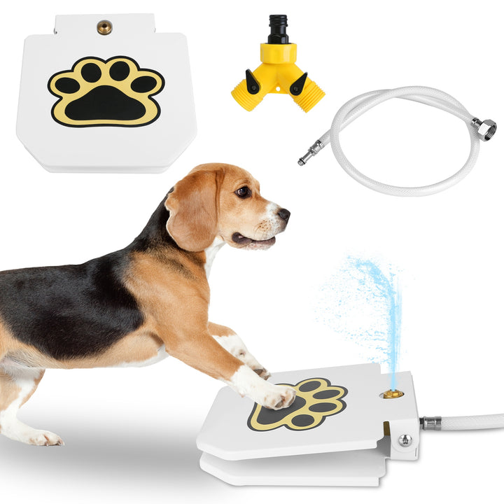 Dog walking on a pad with a water sprayer and parts displayed above.