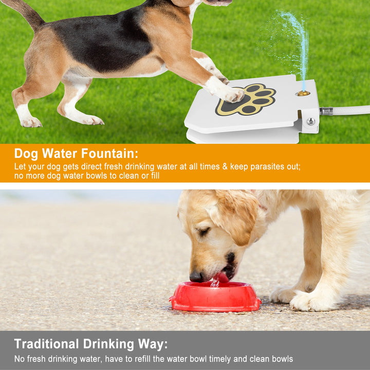 Dog water fountain with a dog drinking from it, compared to traditional drinking方式.
